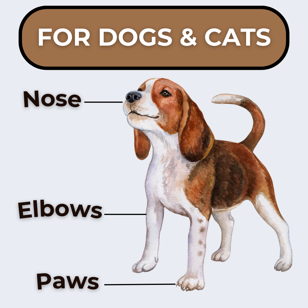 PRIMAL PAW | Grass-Fed Tallow Paw Balm