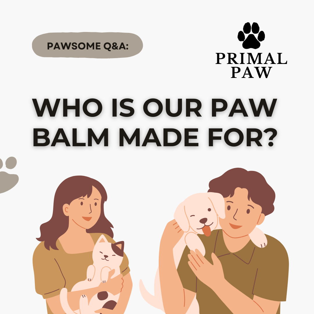 PRIMAL PAW | Grass-Fed Tallow Paw Balm