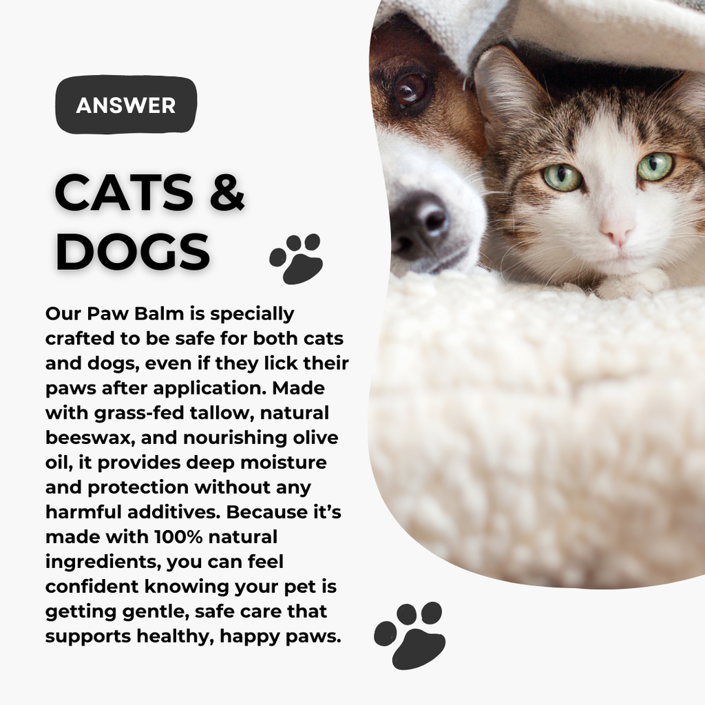 PRIMAL PAW | Grass-Fed Tallow Paw Balm