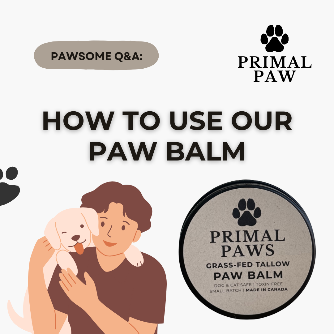 PRIMAL PAW | Grass-Fed Tallow Paw Balm