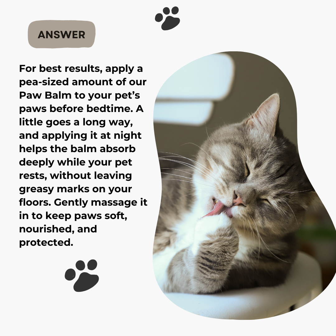 PRIMAL PAW | Grass-Fed Tallow Paw Balm