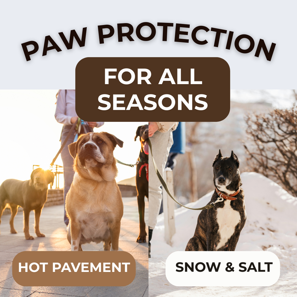 PRIMAL PAW | Grass-Fed Tallow Paw Balm