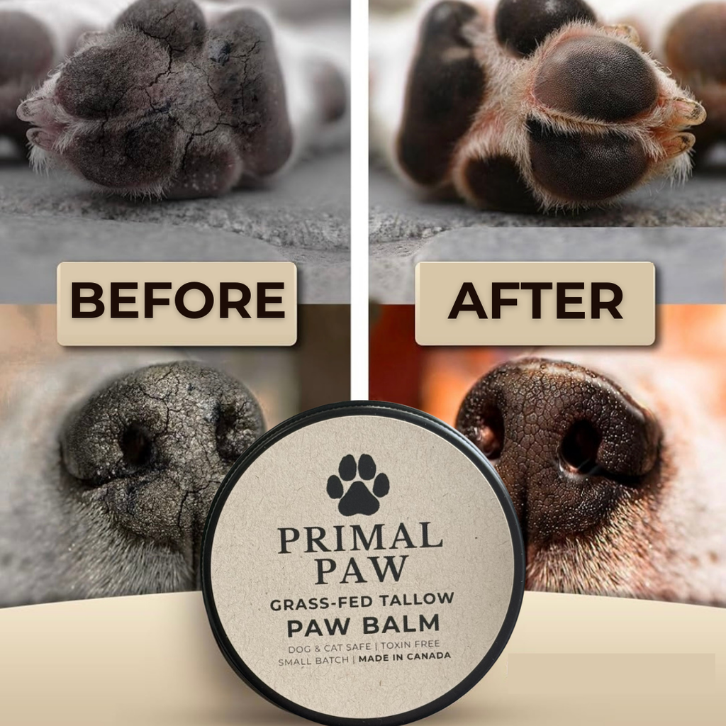 PRIMAL PAW | Grass-Fed Tallow Paw Balm