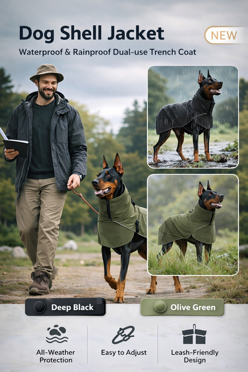 Rainy Day Dog Trench