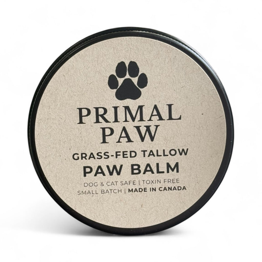PRIMAL PAW | Grass-Fed Tallow Paw Balm