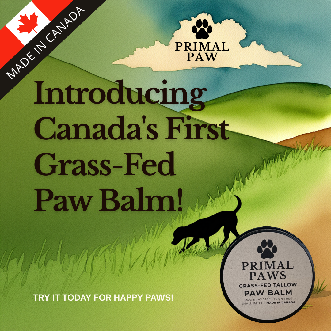 PRIMAL PAW | Grass-Fed Tallow Paw Balm